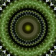 绿色马达拉装饰图案设计模板。家庭装饰和婚礼背景。纺织品，地毯，门垫和瓷砖背景图像打印。灵性和冥想背景