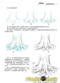 橙猫采集到森林精灵