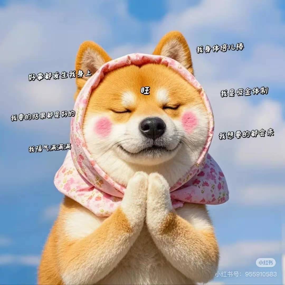 贝才来了