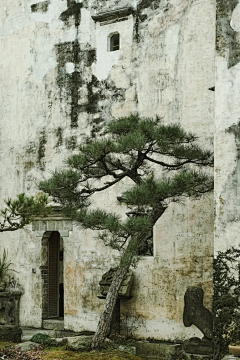 赵源爽子采集到建筑 东