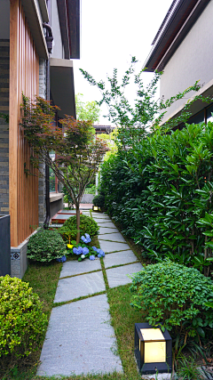 朝生采集到· Landscape ︱庭院 Courtyard