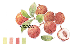 VEGGA小笨采集到VEGGA小笨的手绘清新水彩