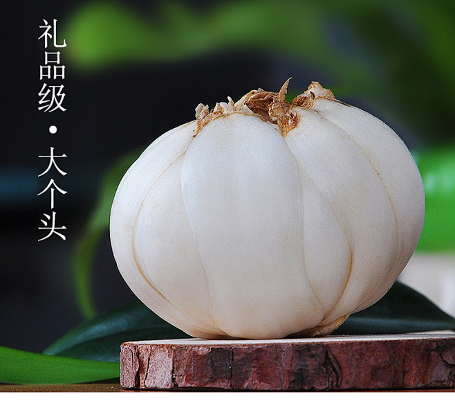 陇萃堂 兰州百合新鲜百合兰州特产新鲜百合...