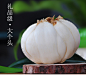 陇萃堂 兰州百合新鲜百合兰州特产新鲜百合兰州鲜百合二头皇500g-tmall.com天猫