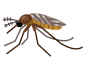 bug_akaieka昆虫 蚊子 蚂蚁 苍蝇 蚯蚓 蟑螂 卡通 插画 免扣 素材 手绘 png