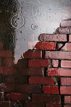 春夜喜雨 | 听雨