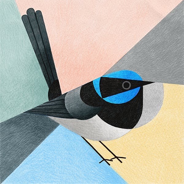 关于鸟类几何图形构成的插画设计