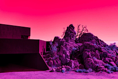 先生姓蔣采集到Pink