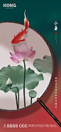 【源文件下载】 海报 小暑 二十四节气 蒲扇 荷花 荷叶 鲤鱼 300437
