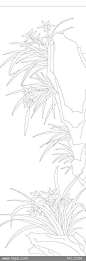 梅兰竹菊白描线条兰图片