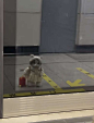 a teddy bear sitting on the ground in front of a glass window with tape measure