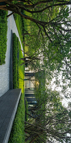 小刘同学612采集到FW｜植物种植