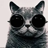 4ever宇的许愿画板