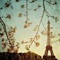你说你爱巴黎。 #小清新#