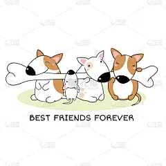 可爱的,牛头梗,骨骼,友谊,四个人,永远,纯种犬,贺卡,梗犬,背景分离