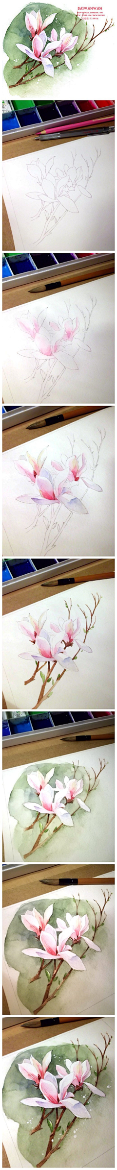cXNKjWS7采集到花