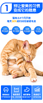 养了个毛孩猫用营养膏120g猫咪益生菌增强免疫力补充营养增肥-tmall.com天猫