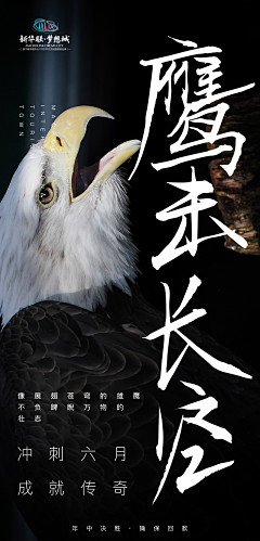 菜菜贰伍仔采集到大字海报