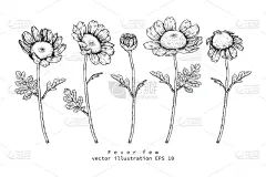 简单,贺卡,边框,复古风格,春天,铅笔画,植物,夏天,线条画,草图