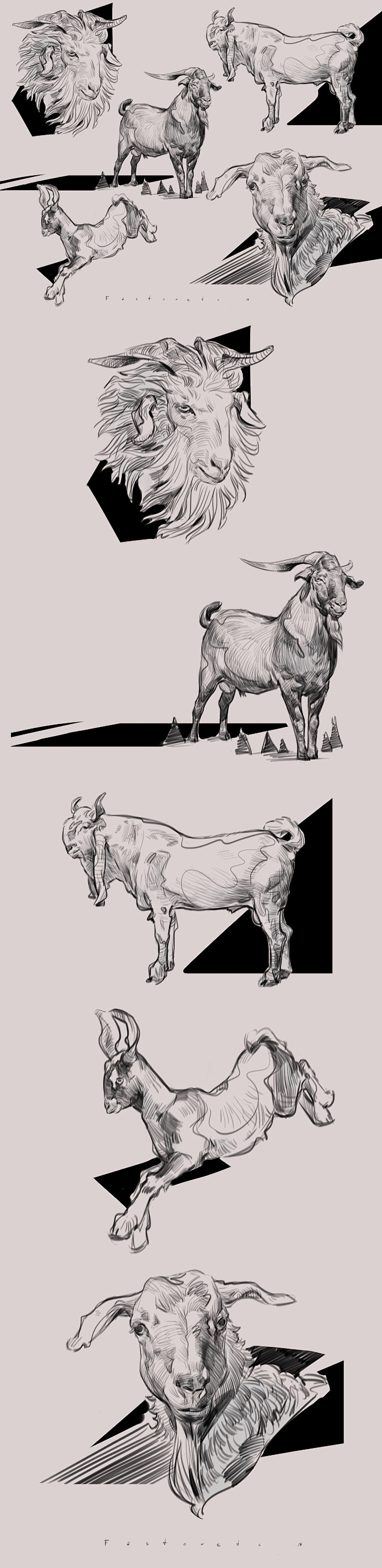 mooore studies, Alex...