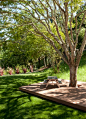 Shades of Green Landscape Architecture created this wooden patio under the trees for a project in Orinda, CA.