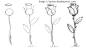 简笔画玫瑰花画法步骤，图片来源百度。