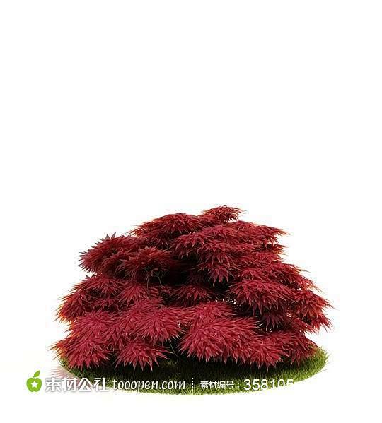 红色枫叶树林灌木3D效果图模型下载