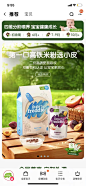 首页banner-little小皮-合成