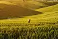 Woman in the field