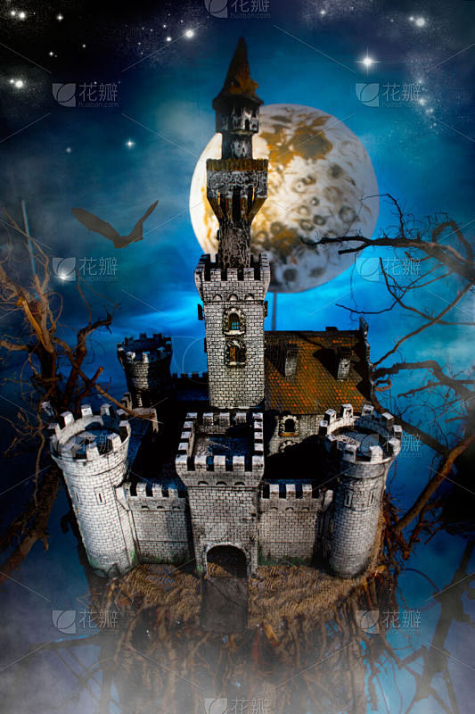 幻想,城堡,垂直画幅,天空,夜晚,月亮,...