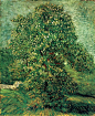 3月梵高的果树开花了。1888年3月梵高来到普罗旺斯，眼前景象驱使他开始疯狂的绘制果园连作，不知疲倦的记录着这稍纵即逝的美。