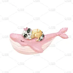 水彩画宝宝睡在鲸鱼上的浣熊。可爱的动物睡觉。婴儿印花或海报。手绘可爱插画当代艺术