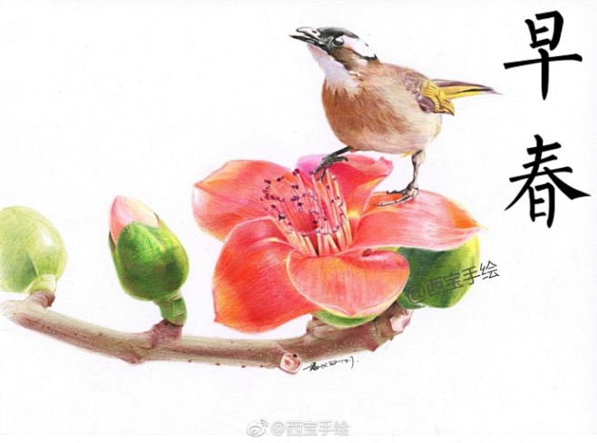 #彩铅手绘# 《早春》
太阳当空照，花儿...