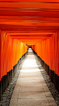 在电影《艺妓回忆录》中也曾出现过密集的朱红色“千鸟本居”，老朽褪色的暗红色牌坊、光鲜亮丽的朱红色牌坊密集地交织在一起，成为京都最令人印象深刻的景观。——千鸟本居#日本京都