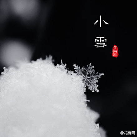 #花瓣小百科#今日小雪，气温逐渐降到0℃...