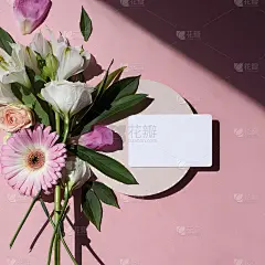 平铺品牌标识商务名片，粉红色背景，花束，树叶，树枝，光影。最小的概念。平躺，俯视图。花的背景。添加你