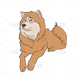 狗,撒谎者,可爱的,纯种犬,肖像,哺乳纲,自然美,动物,犬科的,绘制