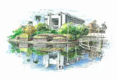 【华侨大学美术学院何渊同学手绘的华大校园作品】—— 四年校园，终身为家，谁是你挥不去的思念！