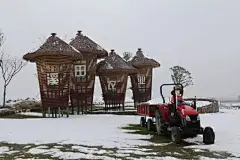 今日我扫雪，明日您赏景~_手机搜狐网