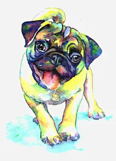 水彩沙皮犬_新图网 https://ixintu.com 手绘小狗 卡通小狗 小狗素材 宠物狗 小狗免扣元素