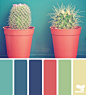 cacti color