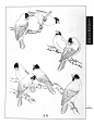 《工笔画线描动物画谱》之飞禽篇——文鸟