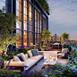 New York City Garden terrace