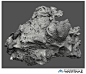 Warframe — Coral Sculpt, Jesse Carpenter