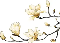 古风花朵    - 源文件下载【酷图网】古风花朵,古风水彩画,意境,唯美中国,水彩插画,古风,古风水彩,梅花,古风水彩插画,粉色背景,古风浪漫背景,古风背景,古风山水背景,樱花背景,唯美,游戏背景,古风游戏,复古国潮古风,仙侠游戏背景,水彩画