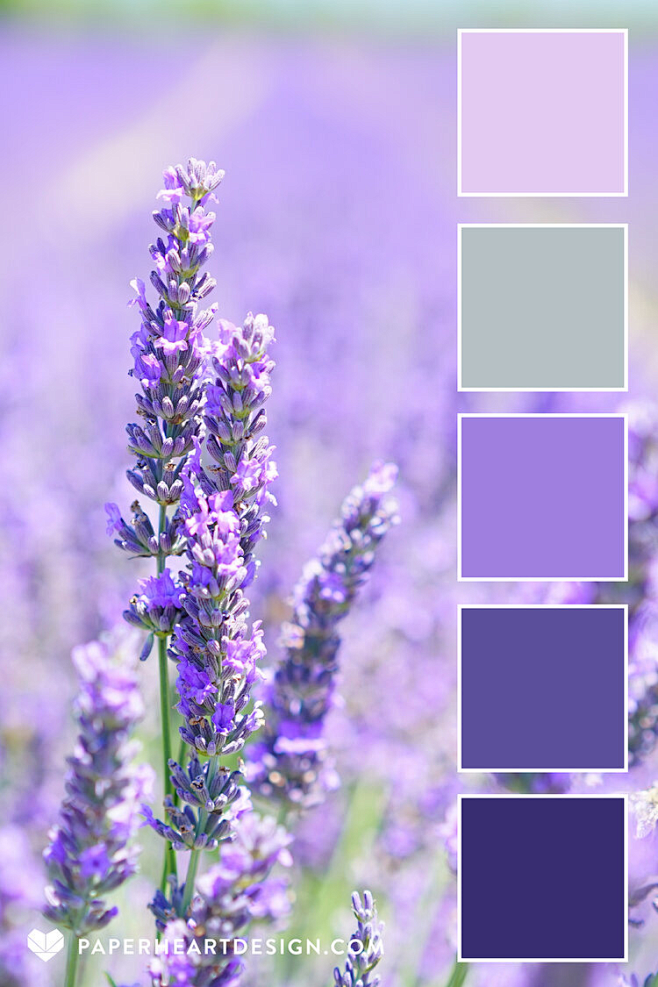 Color Palette: Pleas...