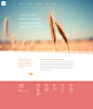 Organic - Free Website PSD Template