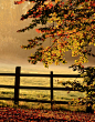 country