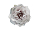 Flower Styles - Zoe Bradley Design