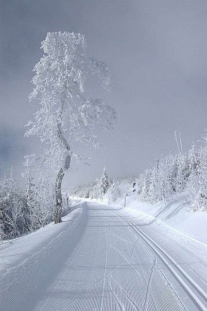 winter road